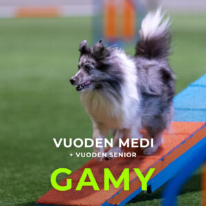 Agility Ry:n vuoden medi ja vuoden senior 2024, Gamy