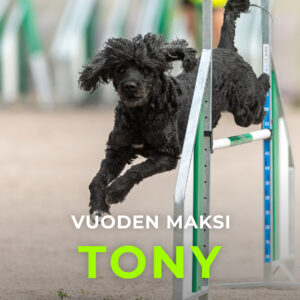 Agility Ry:n vuoden maksi, Tony