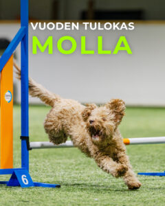 Vuoden tulokas 2025 Molla