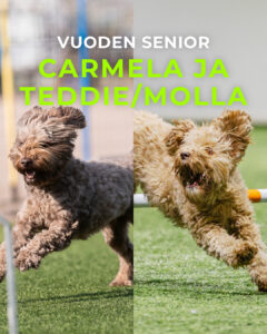 Vuoden senior-ohjaaja Carmela